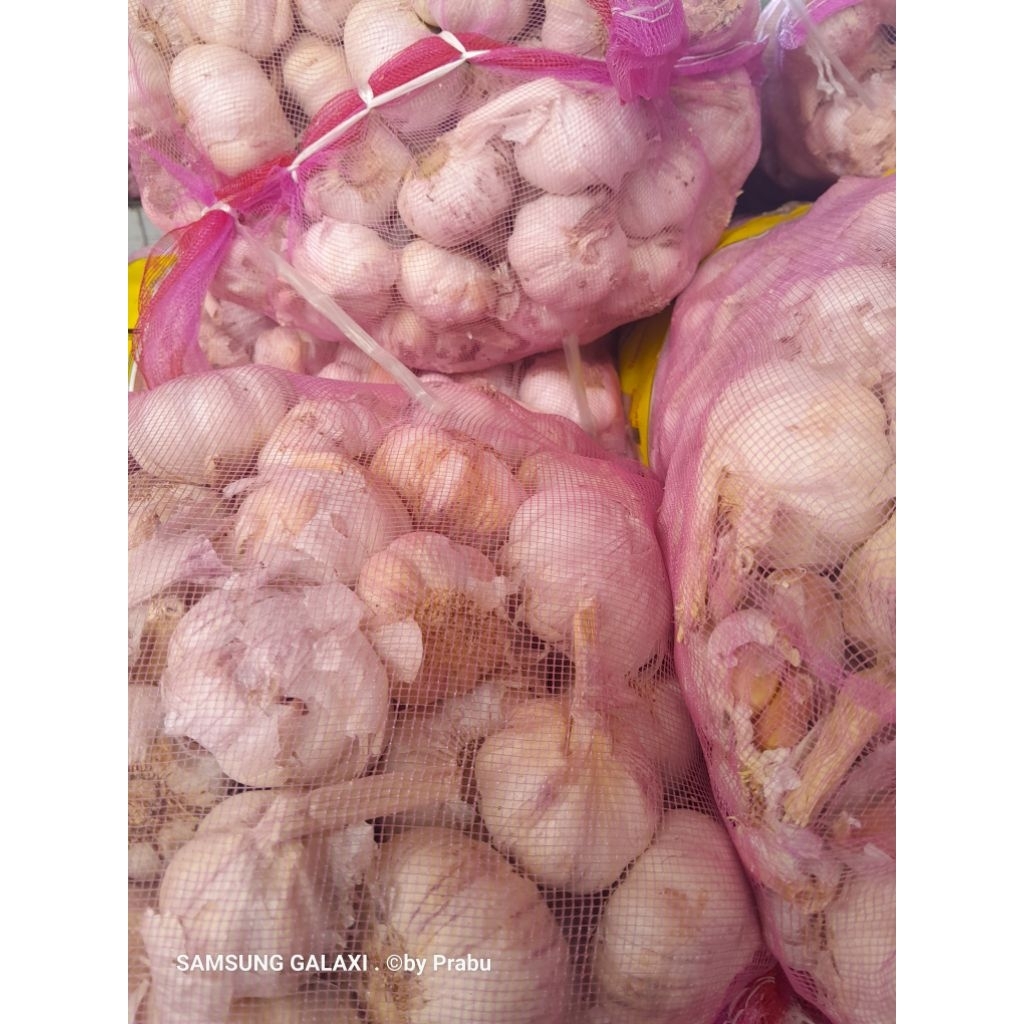 

bawang putih 1kg
