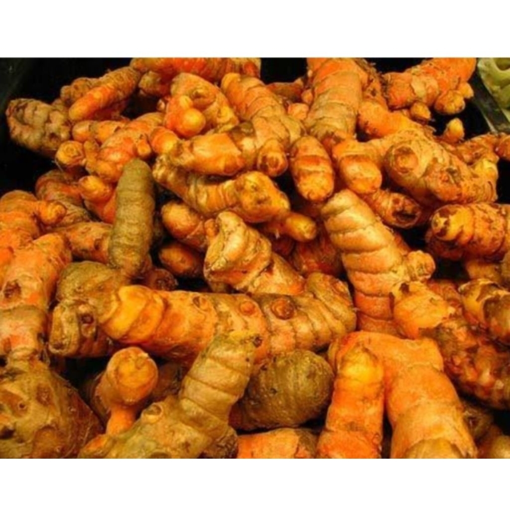 

kunyit herbal obat badan 1 kg