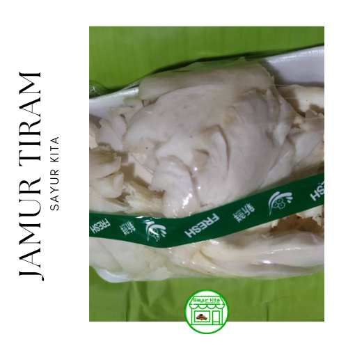 

Jamur Tiram Segar 500 gram