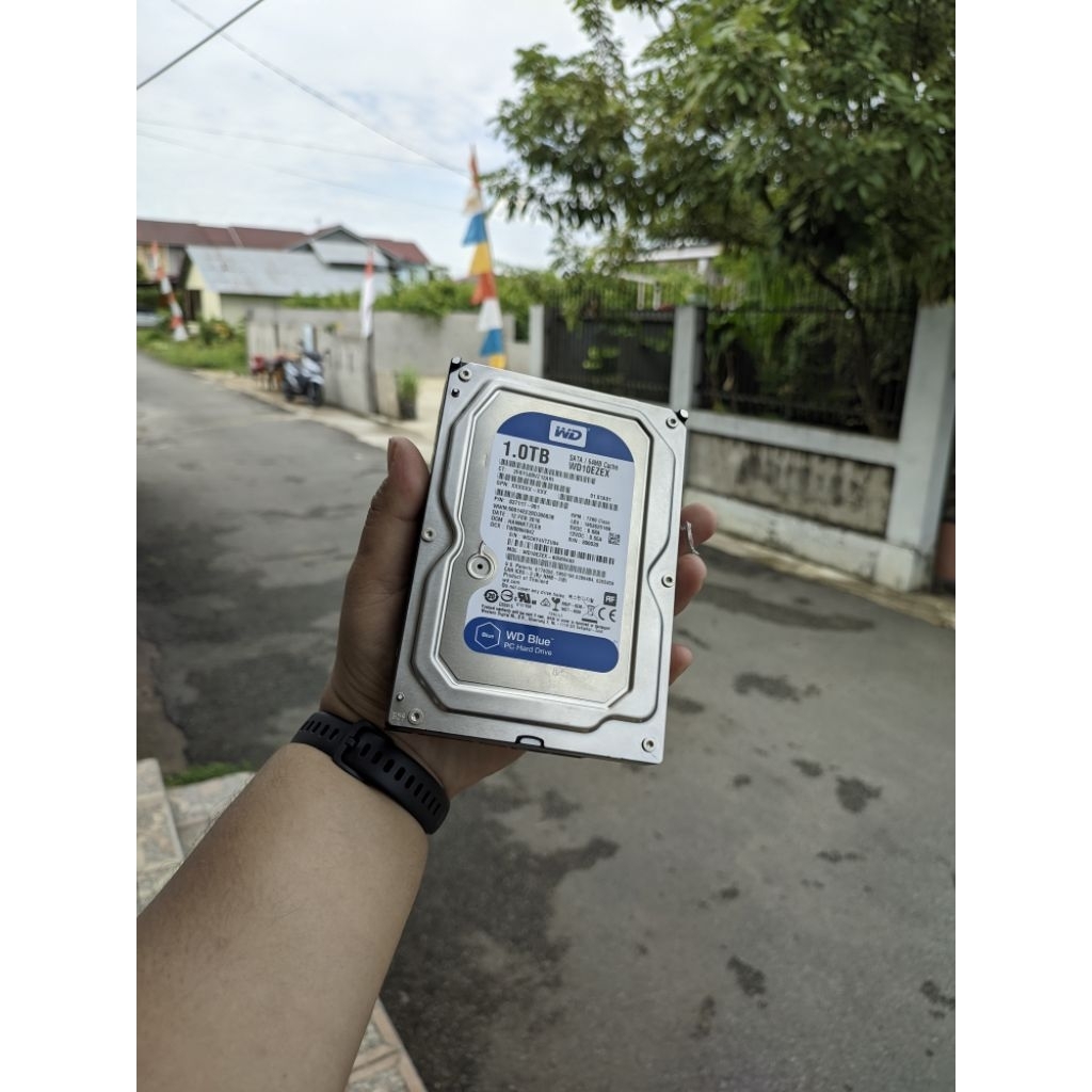 HDD WD Blue 1 TB second