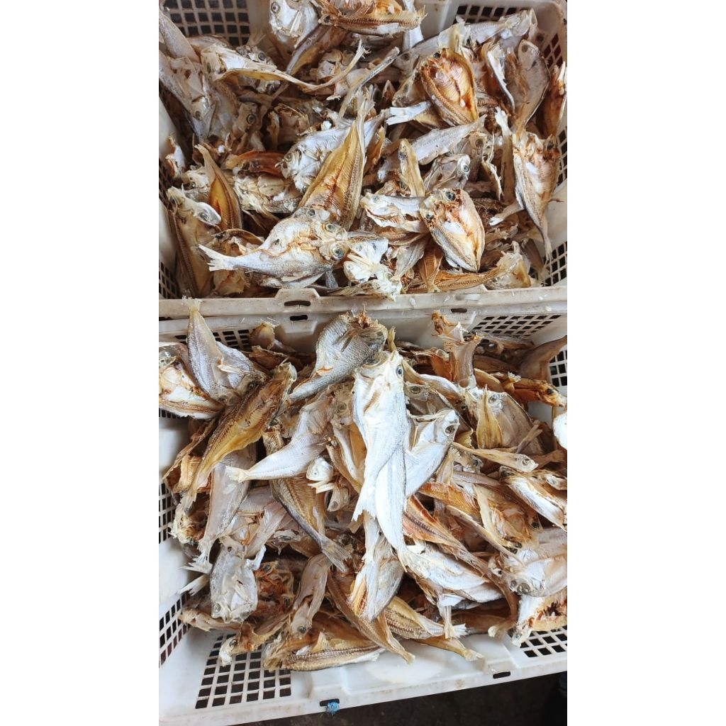 

ikan asin tipis kriuk garing