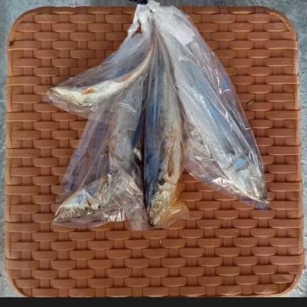 

Ikan Asin Japuh Murah/bks