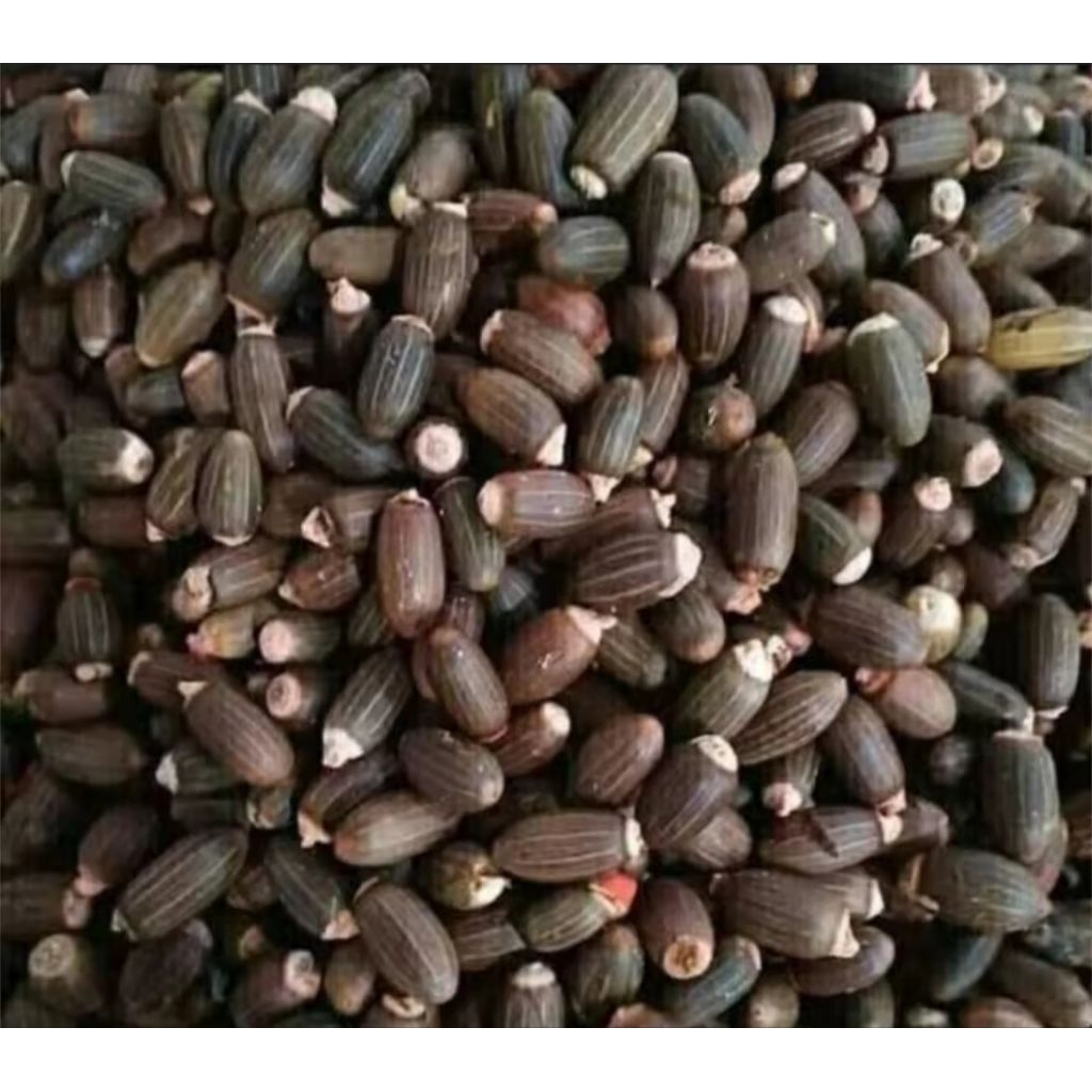 

Bijii melinjo super 1kg