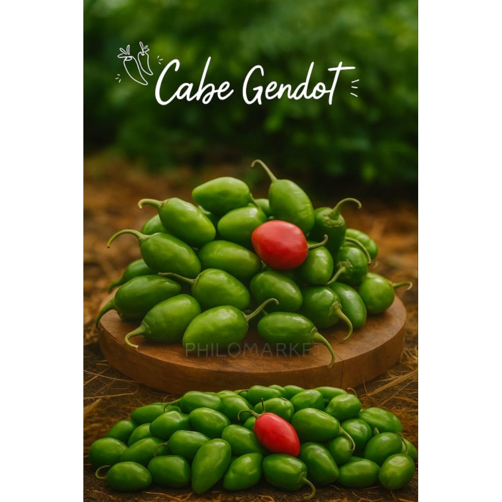 

VIRAL Cabai Gendot 1 KG , Cabe Gembor , Cabe Gendot , Cabai Super Grade A Murah