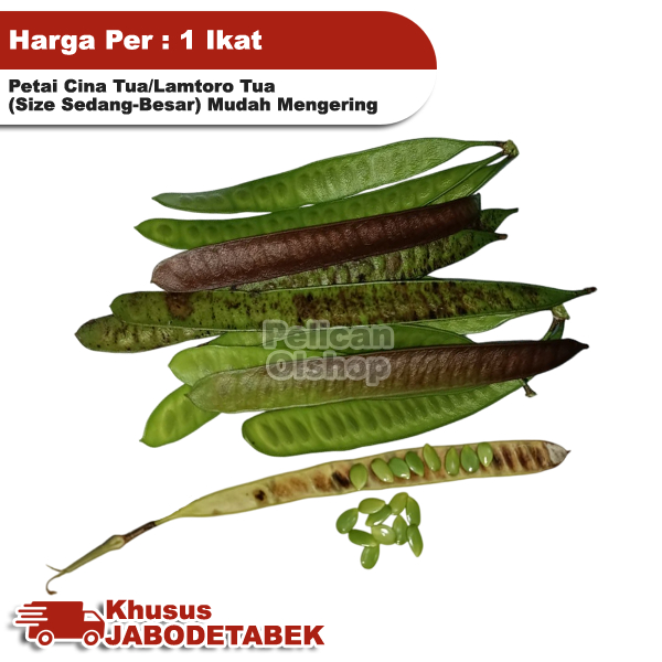 

Petai Cina Tua 1 Ikat Isi ±30 Pcs Pete Palending Selong Lamtoro Kolot Masakan Urap Botok Pepes Buntil Sambal Sayur Asem Obat Herbal