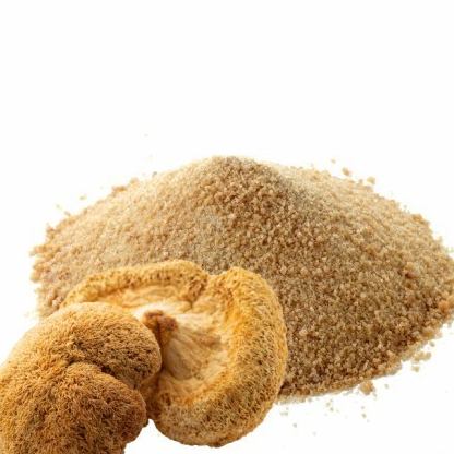 

Lion's Mane Mushroom Powder - Bubuk Jamur Surai Singa 500gr - 1kg