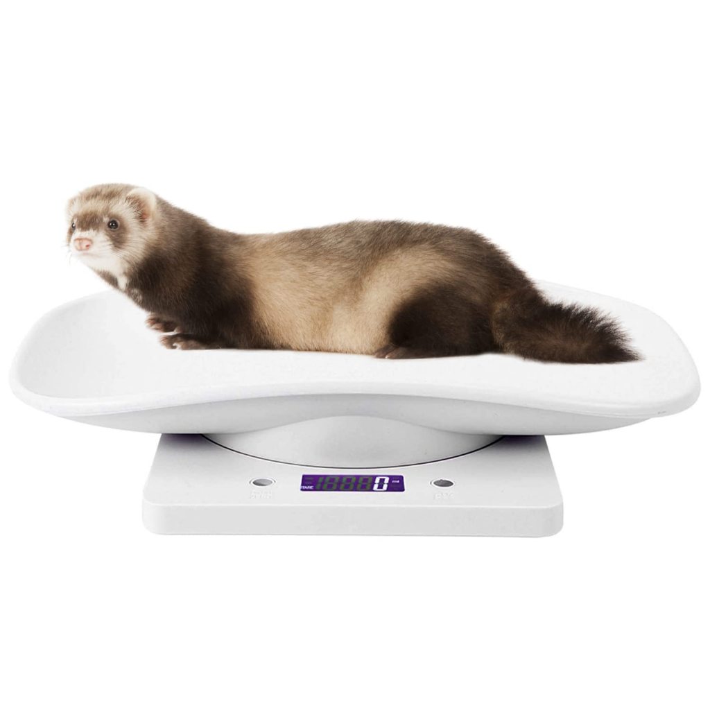 Timbangan Kucing / Timbangan Hewan Peliharaan Mini 10kg/ Timbangan Kecil Digital Multifungsi