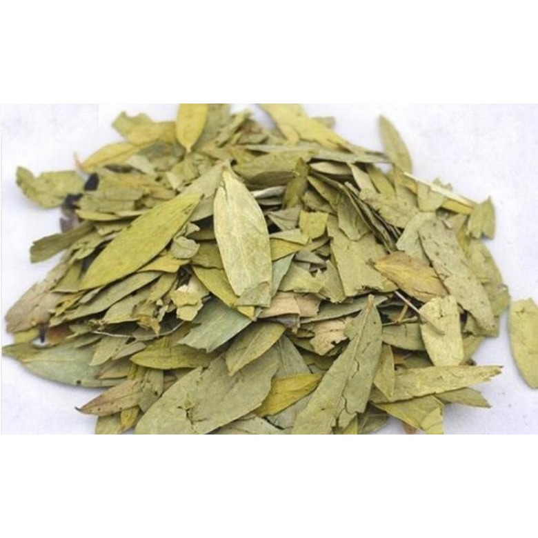 

DAUN JATI CHINA KERING ASLI