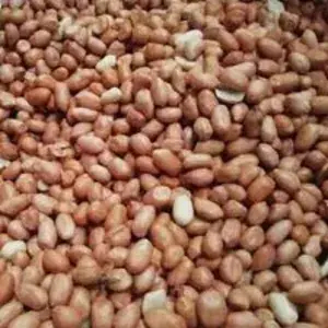 

Kacang Tanah - 500 Gram