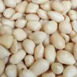 

Kacang Tanah Kupas Kulit 500 Gram