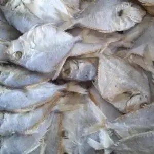 

Ikan asin Petek 250 gram