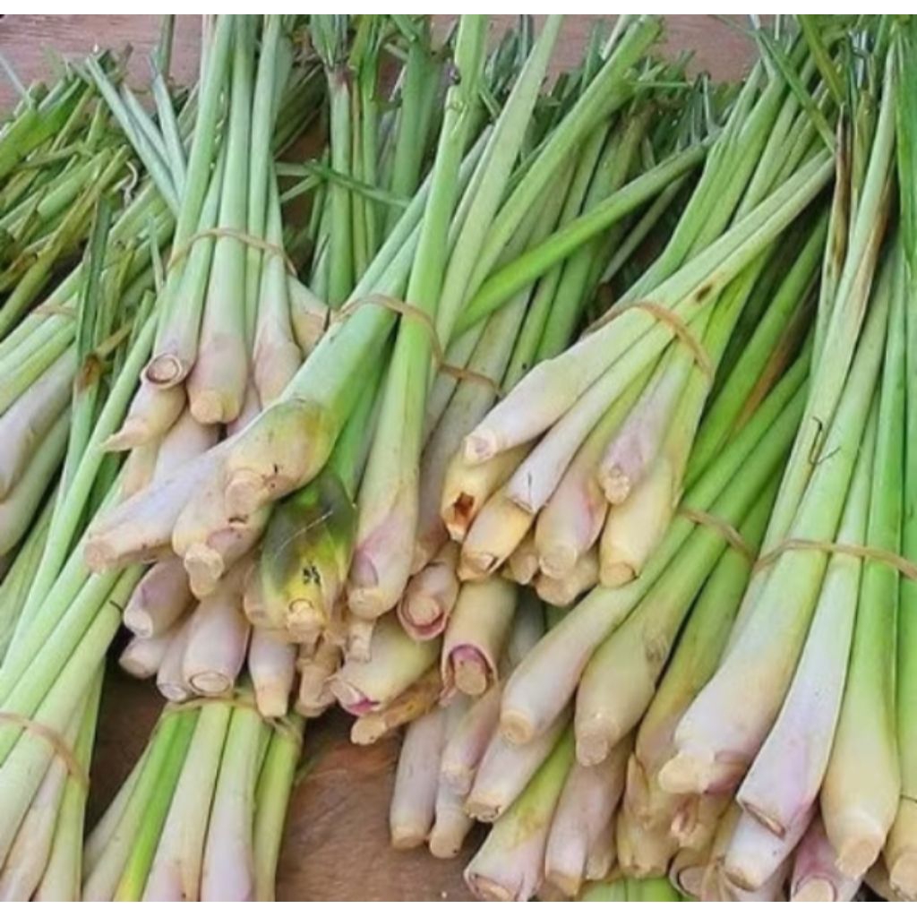 

sereh sayur segar 250gram