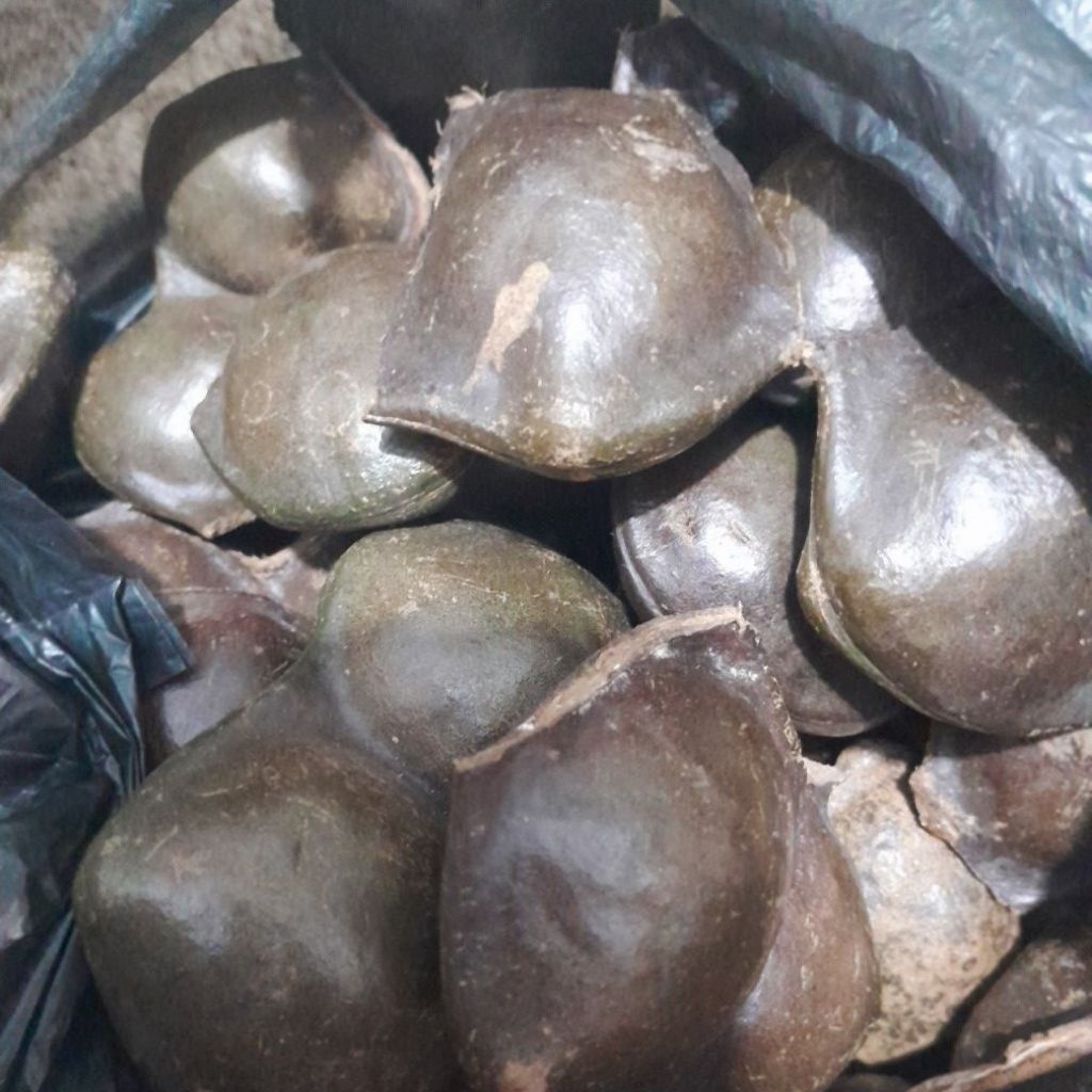 

pesanan ibu liga novryanti