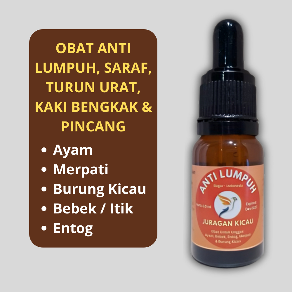 Obat Turun Urat Saraf Lumpuh Tedun Ayam Merpati Burung Kicau Kaki Bengkak Pincang