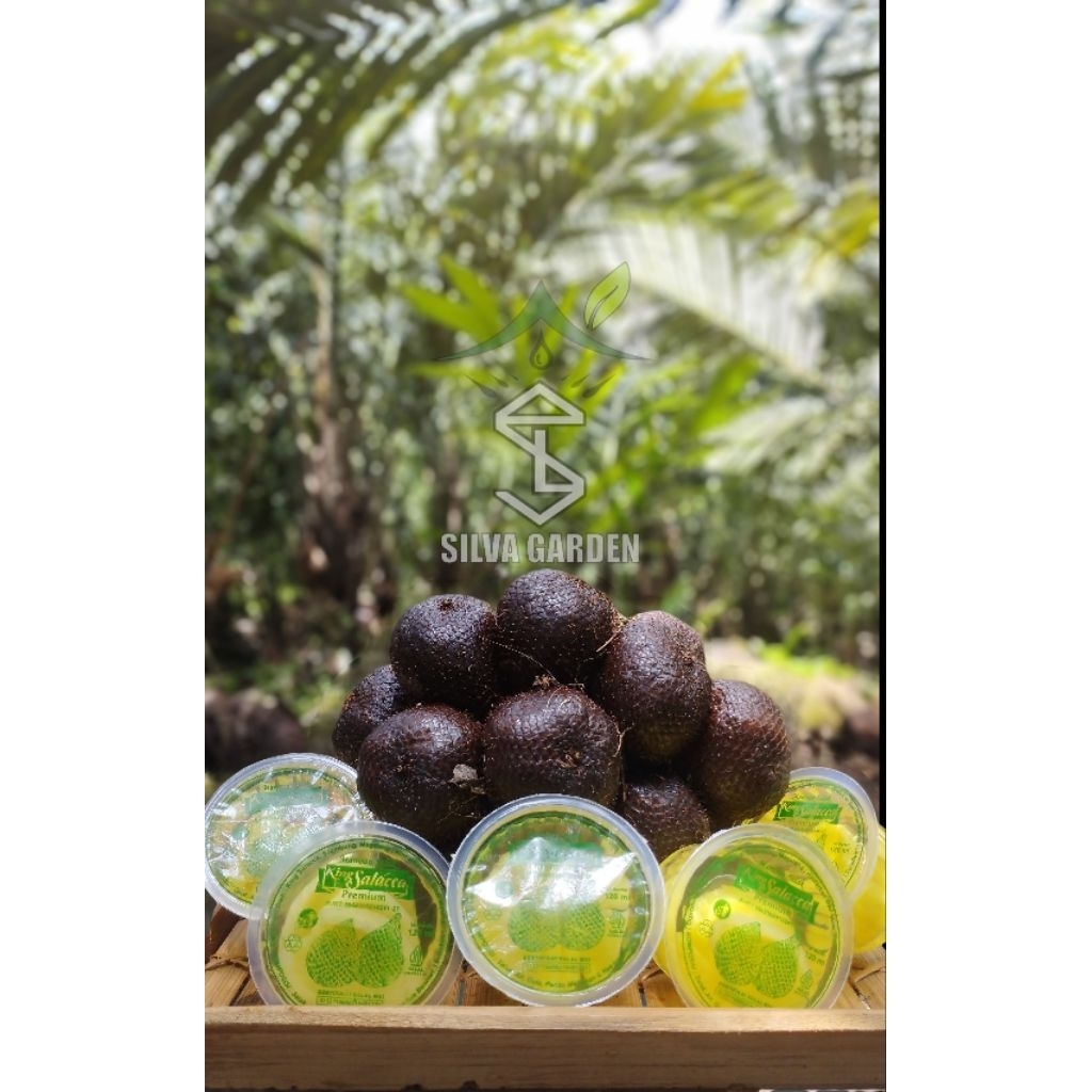 

Manisan Salak King Salacca