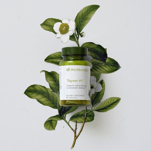 

Tegreen 30 Kapsul Teh Hijau ASLI ORIGINAL