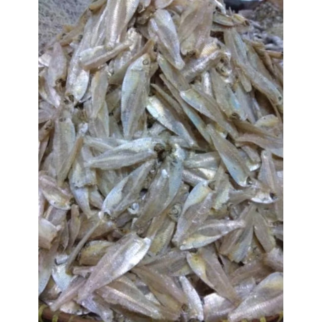 

Hase hase/ikan kresek/ikan Perak 500g