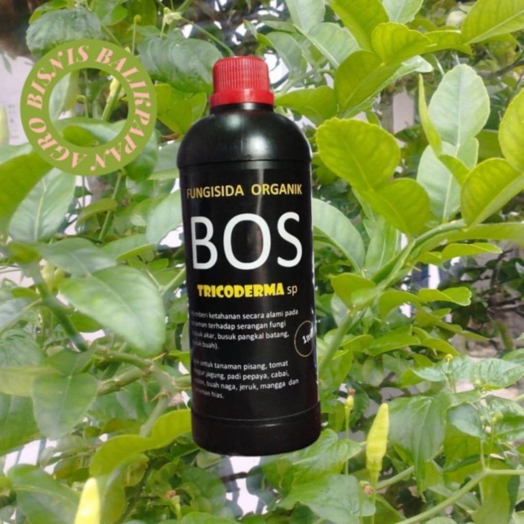Fungisida Organik BOS Tricoderma SP