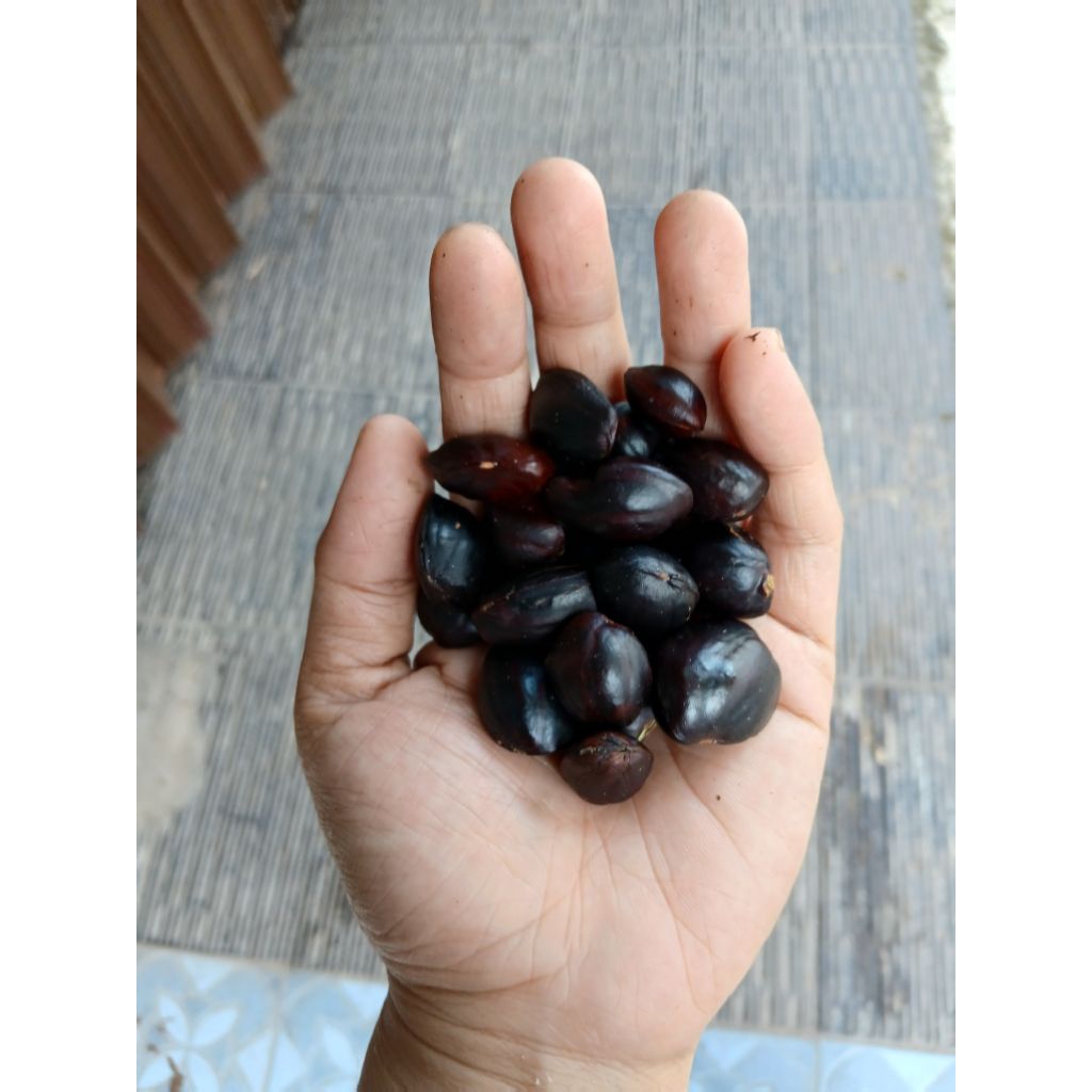 

500 GR KABAU KIKIM JOLANG JALING PALEMBANG