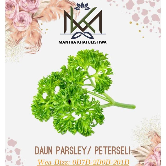 

DAUN PARSLEY DAUN PETERSELI GARNISH