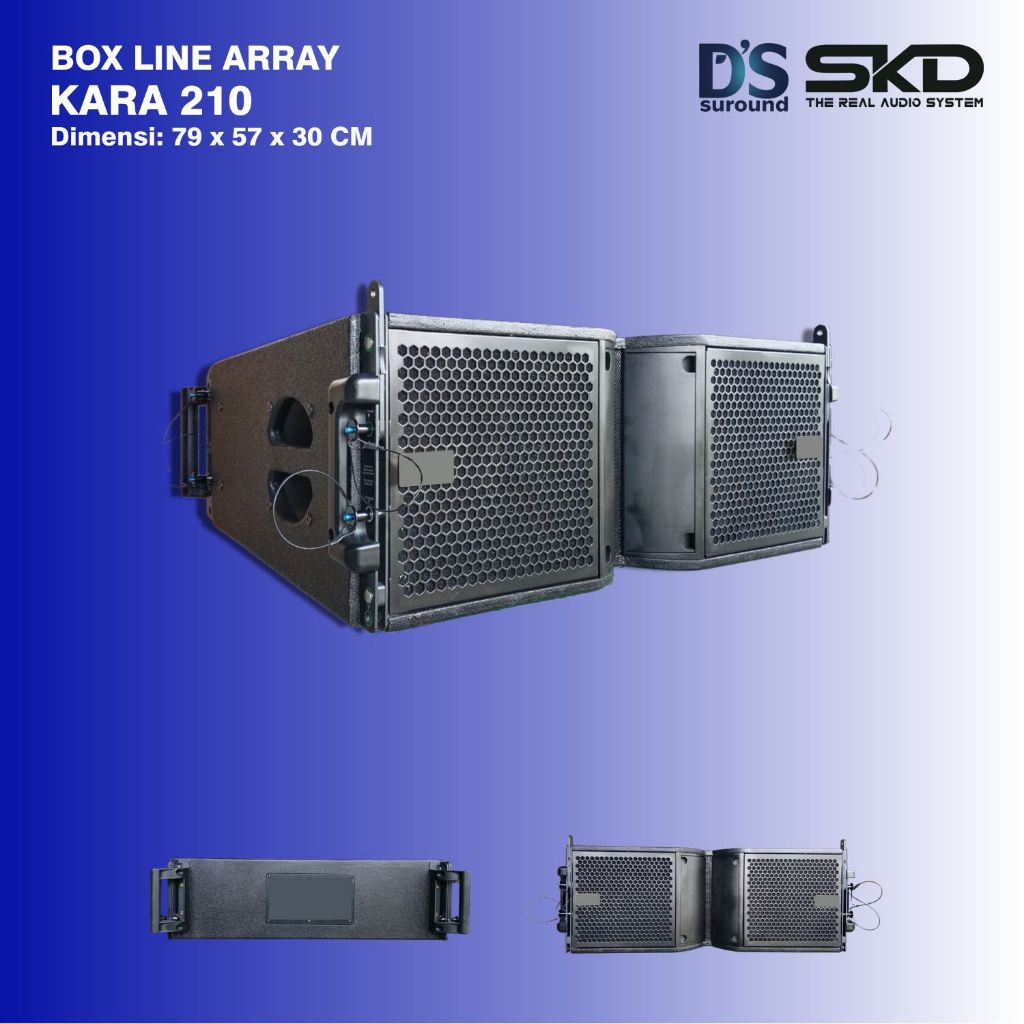 BOX LINE ARRAY KARA 10 INCH DOUBLE KARA 210