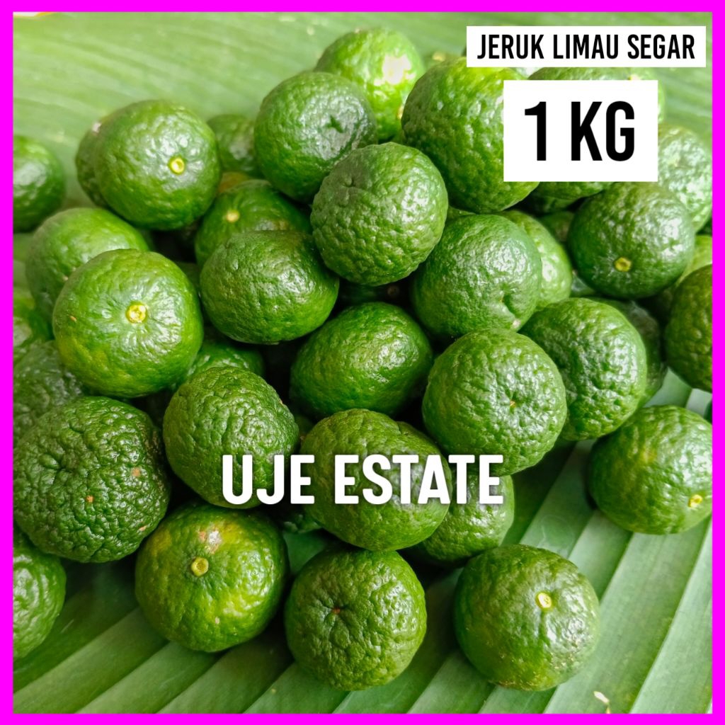 

JERUK LIMAU SEGAR 1 KG BERSIH /JERUK LIMO JERUK LEMO JERUK LIMAU JERUK SAYUR JERUK SAMBAL