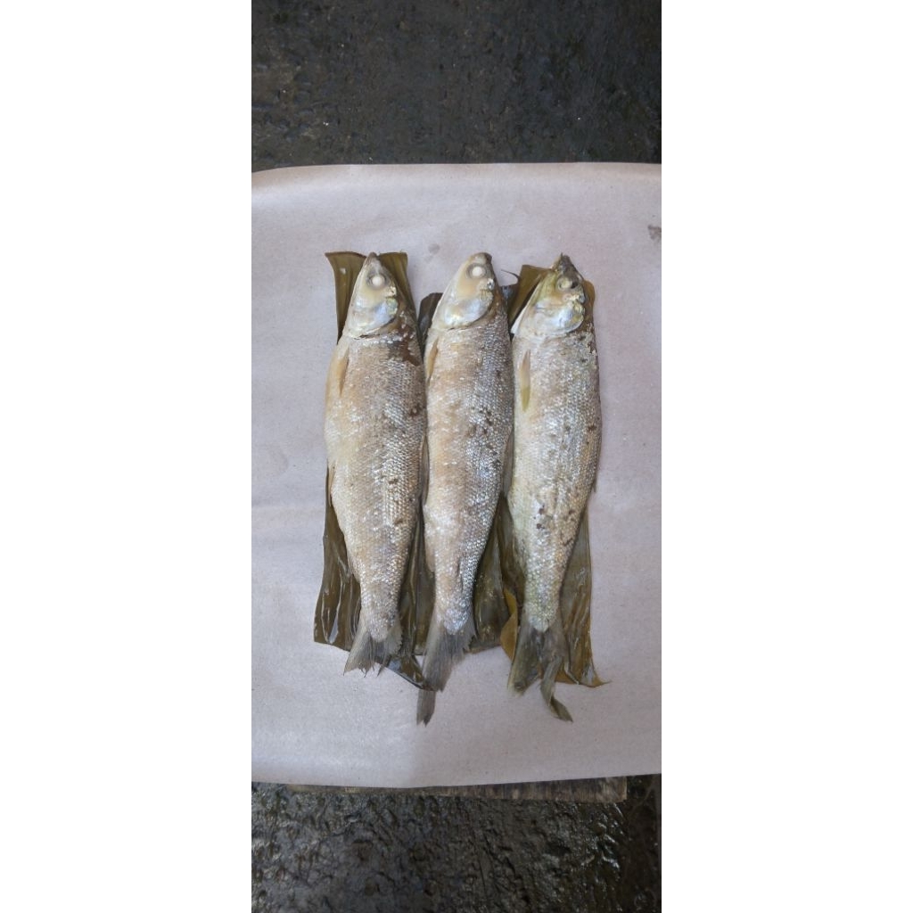 

Bandeng Presto Tegal 500gr Isi 3–4 Ekor – Lunak Duri, Gurih & Siap Saji