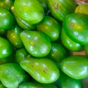 

Alpukat mentega mateng 500g