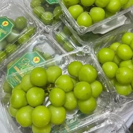 

Anggur Muscat cup 1/2 kg