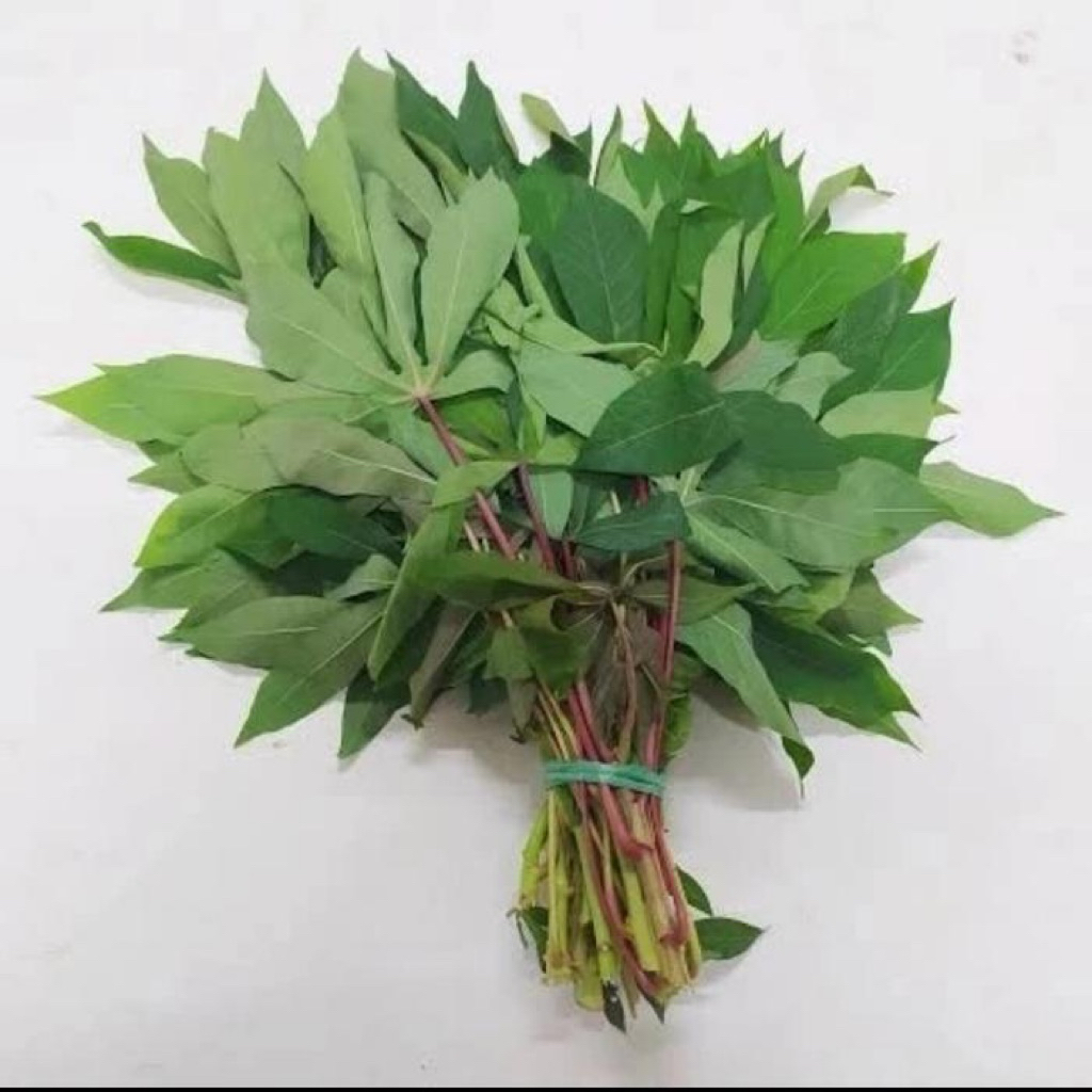 

Daun Singkong Muda | untuk lalapan / di masak | satu ikat 100gram