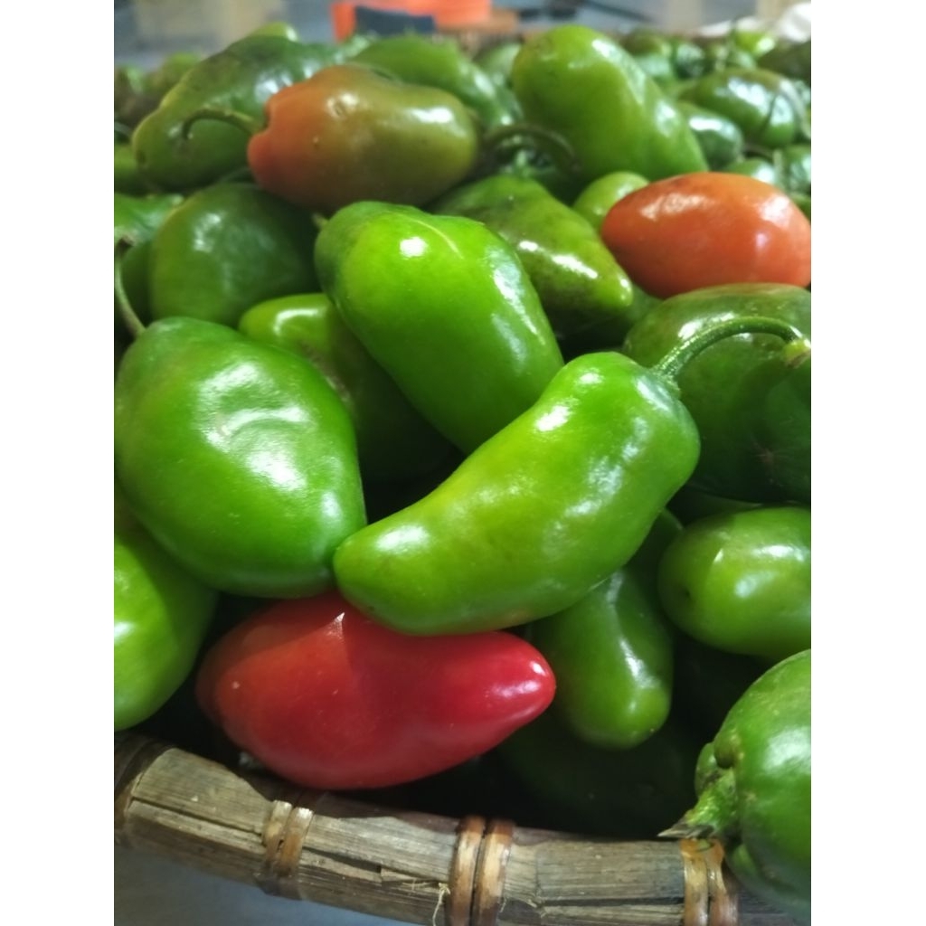 

CABE GENDOT SEGAR , SPESIAL 500gr BUAH/SAYUR