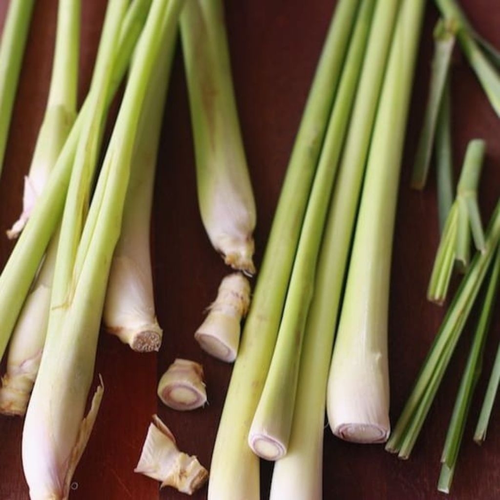 

(Mahal) Sereh Atau Serai Wangi Full Bersih