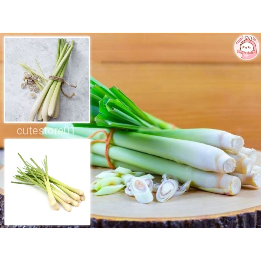 

(Bersih 1kg) Serai Wangi Sereh Bumbu Dapur