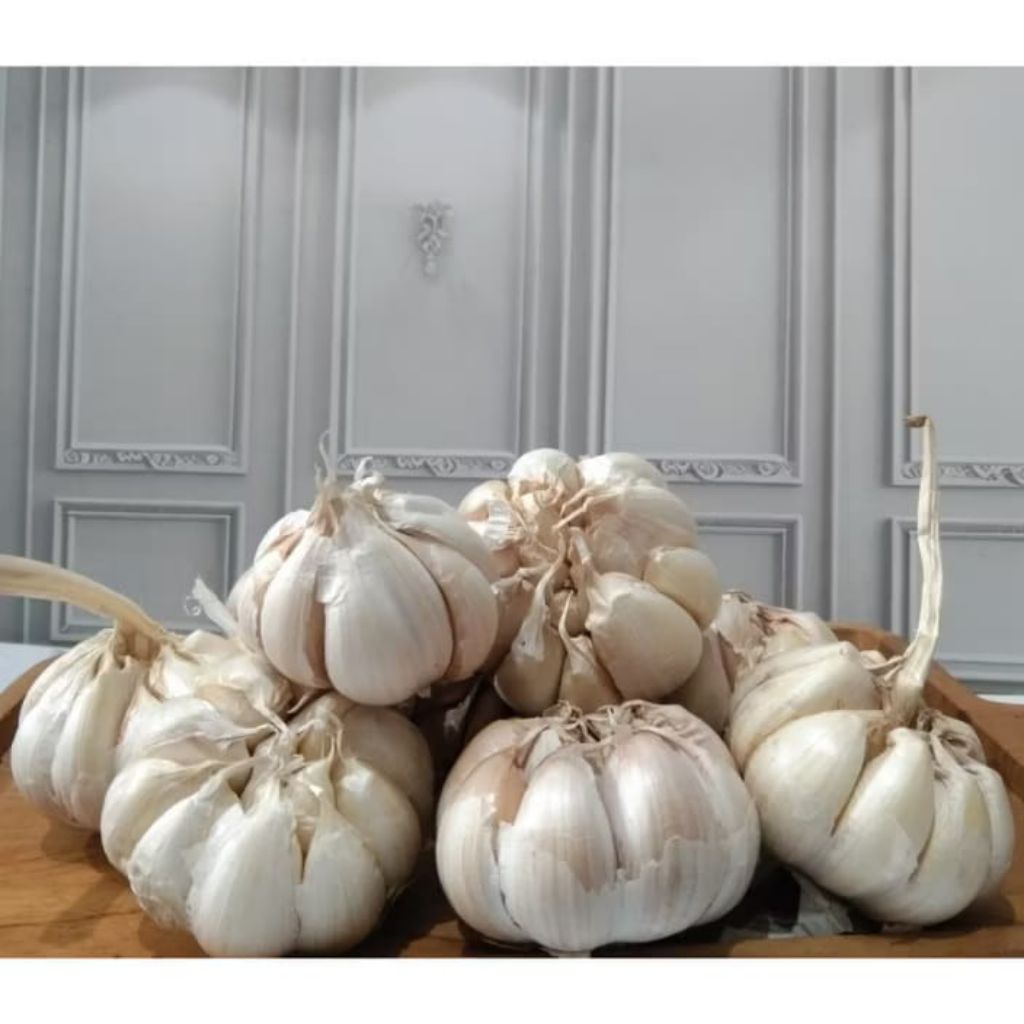 

Bawang Putih ( Serba 5Ribu )