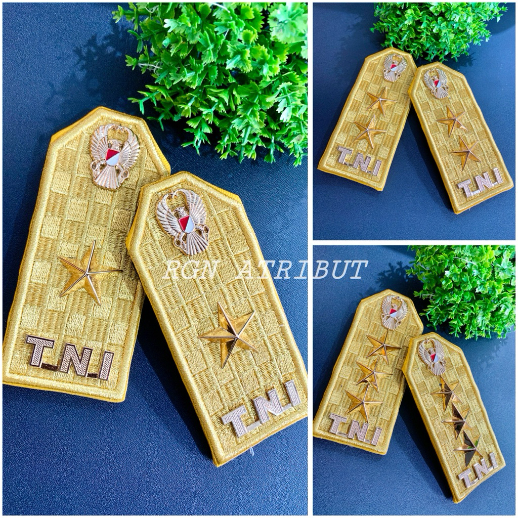 PANGKAT PDU TNI MAYJEND BINTANG 123 TERBARU Clips BINTANG