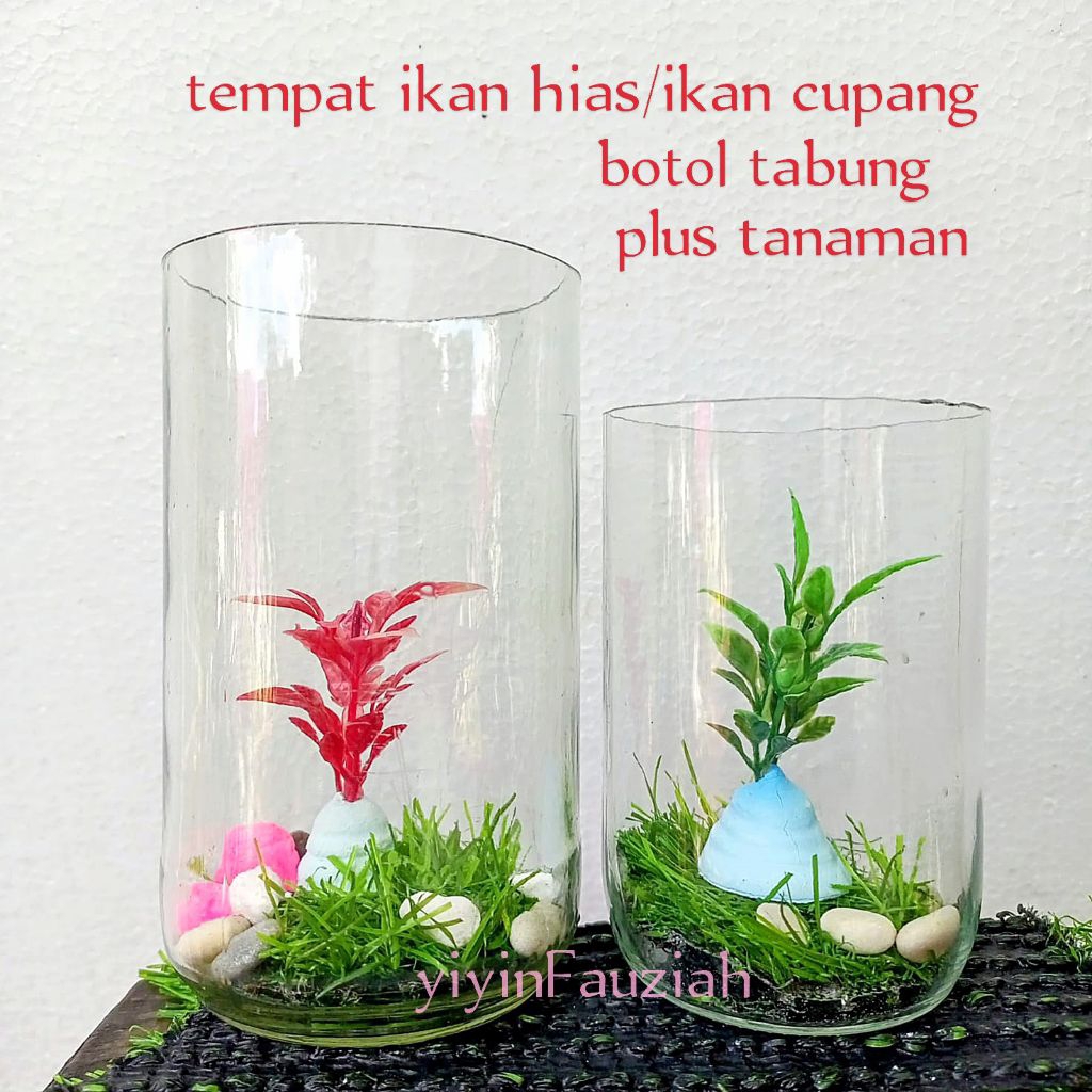 Botol kaca botol ikan cupang/ikan hias/botol tabung/tempat ikan cupang plus tanaman/aquarium ikan