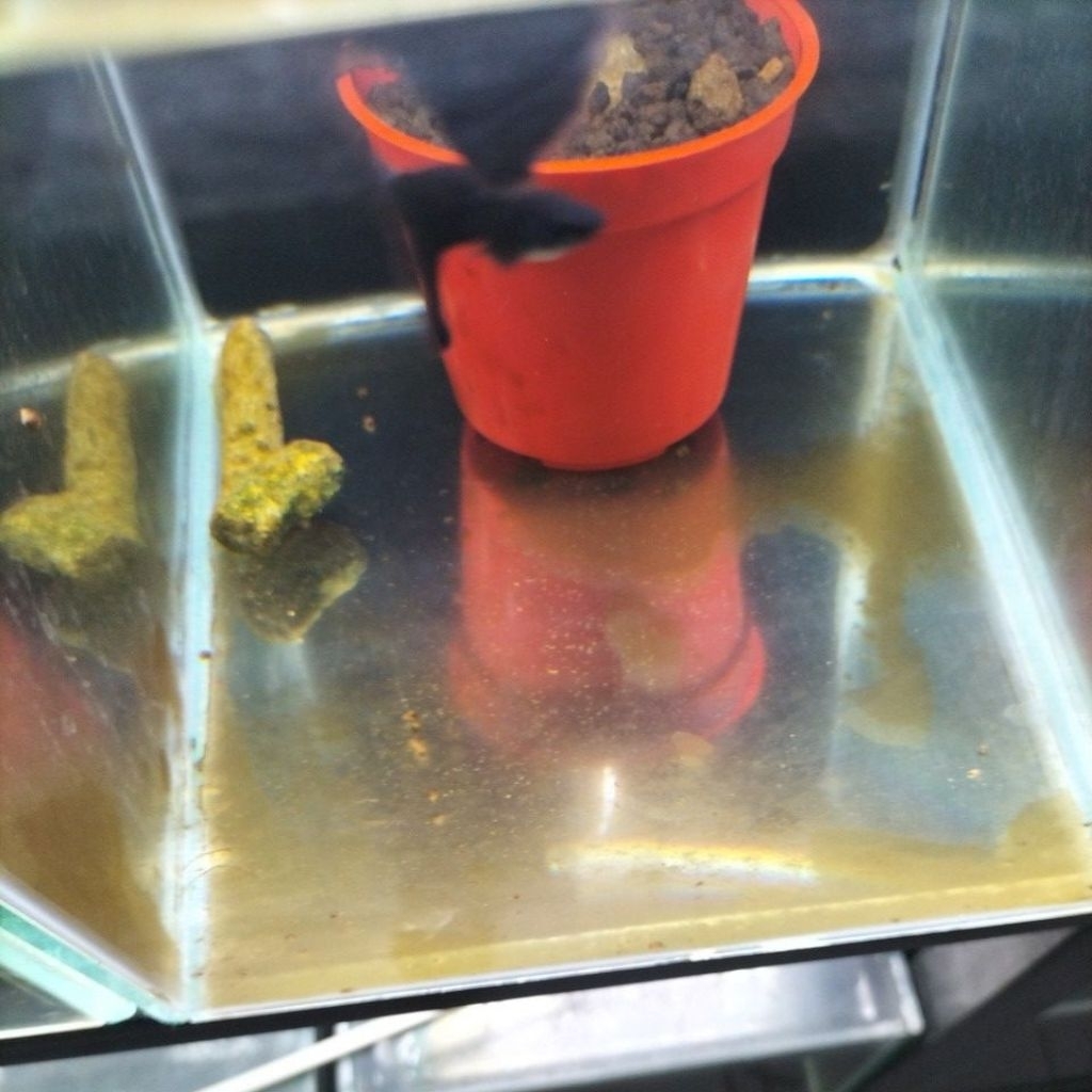 

STICKER CUSTOM BLACK MOSCOW