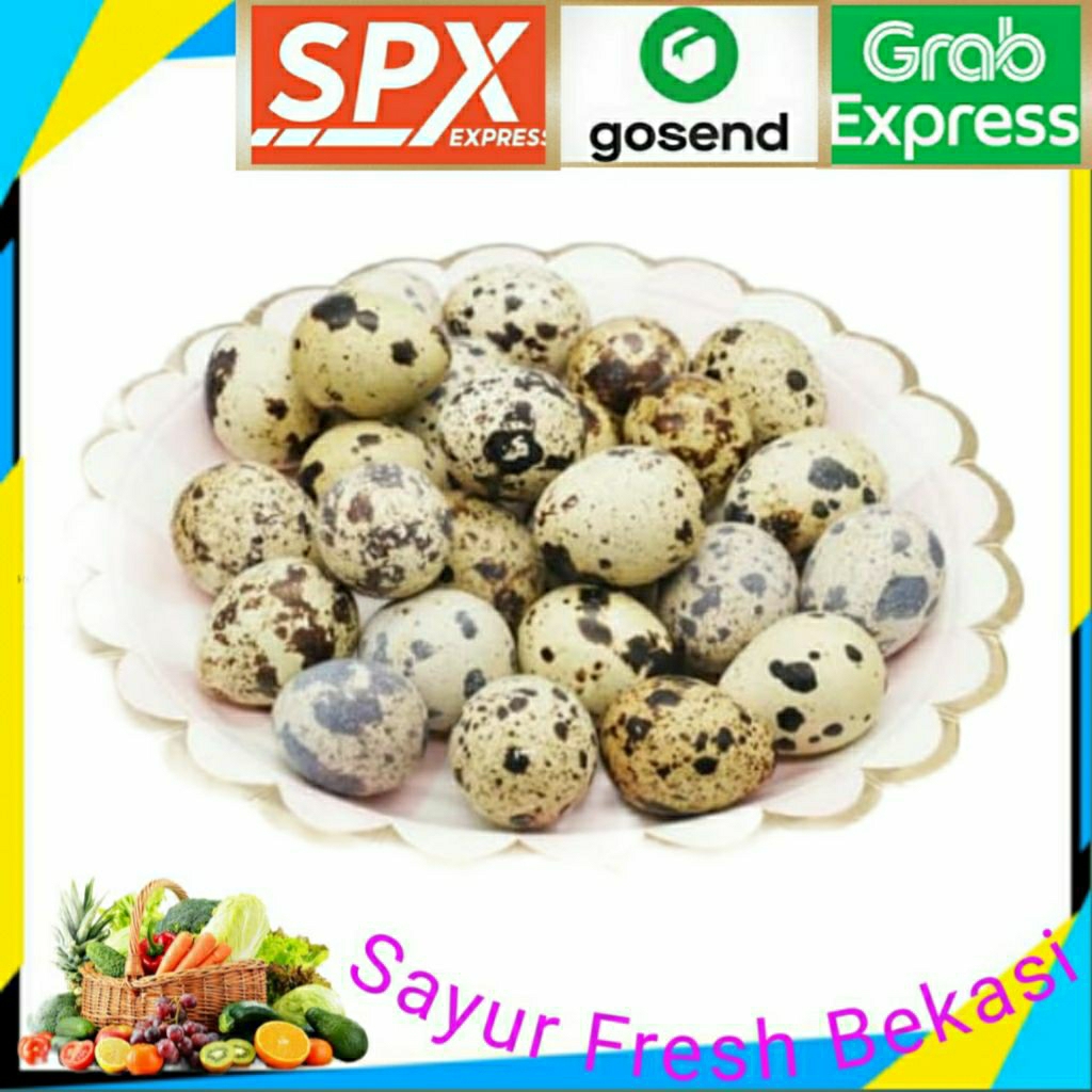 

Telur/Telor Puyuh Mentah isi 25 Butir.