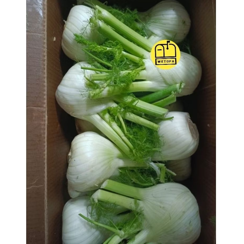 

FENNEL IMPORT AUSTRALIA 700GR