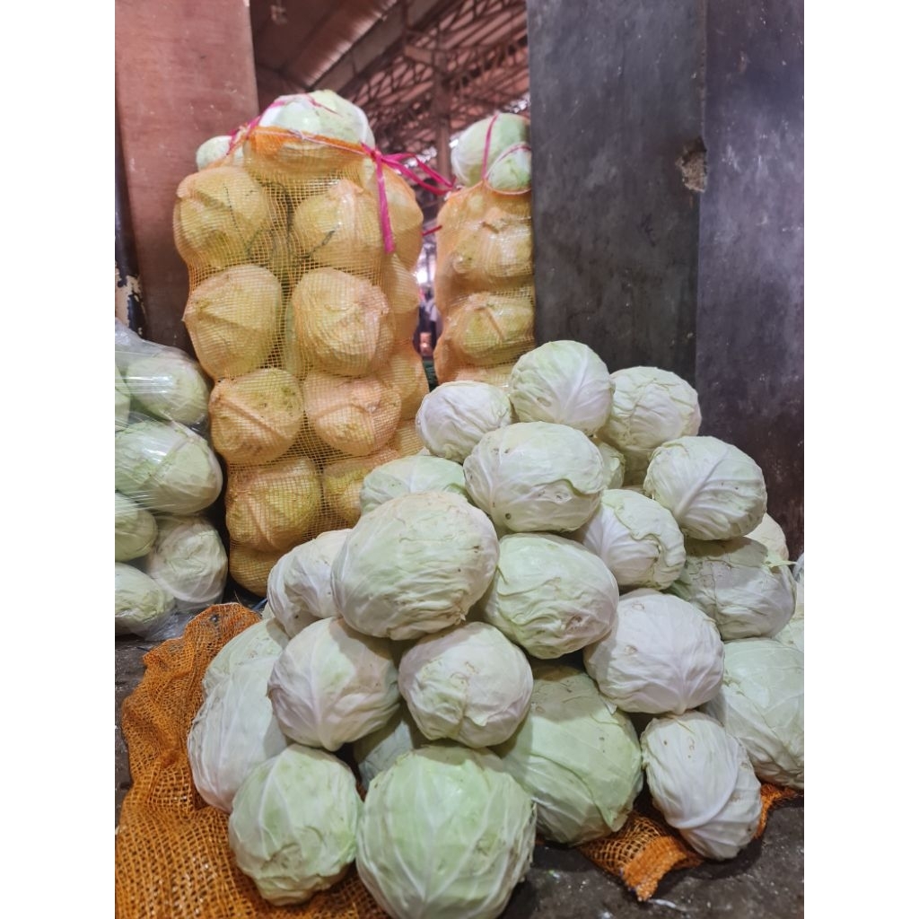 

Sayur Kol Segar 2kg Original Press