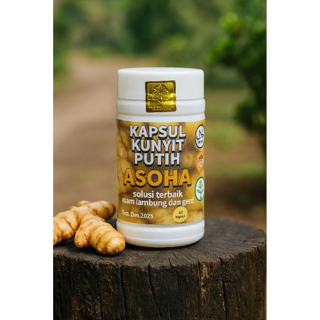 Obat Asam Lambung Bahan Alami Ramuan Cina