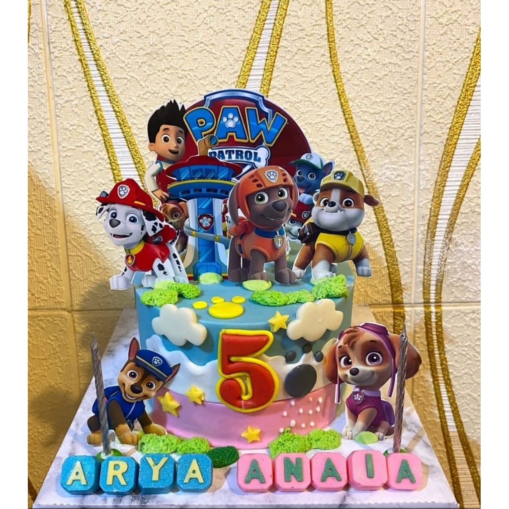 

Pinata Cake Paw Patrol4