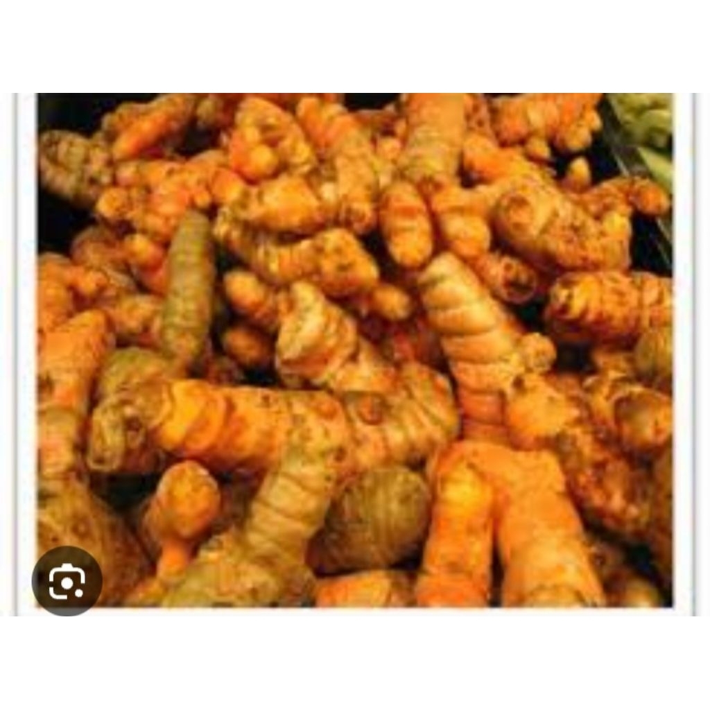 

250g lengkuas kunyit koneng