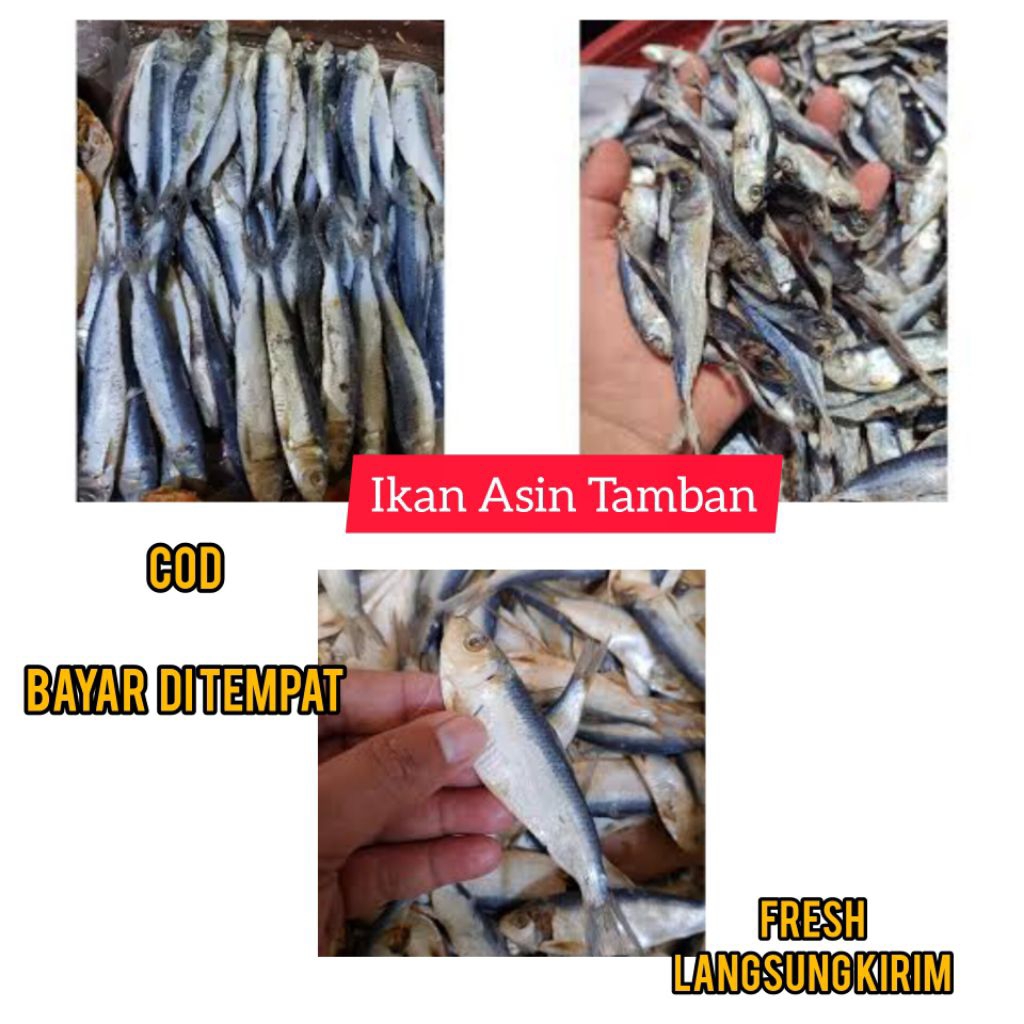 

ikan asin tamban termurah, ikan tamban, Ikan Asin Tamban Asli, Ikan Asin tamban orginal, ikan Asin serba 5.000