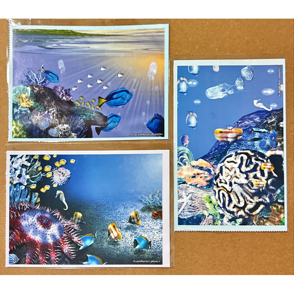 

KARTU POS INDONESIA KEHIDUPAN BAWAH LAUT / MARINE LIFE 3LEMBAR MINT (HARGA UNTUK SEMUANYA).