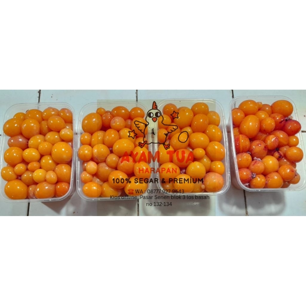 

URITAN AYAM MERAH (Telor Muda) 1/2kg