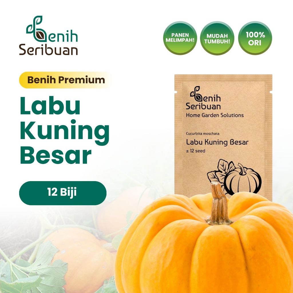 Benih Seribuan - Bibit Buah Labu Kuning Jumbo Unggul