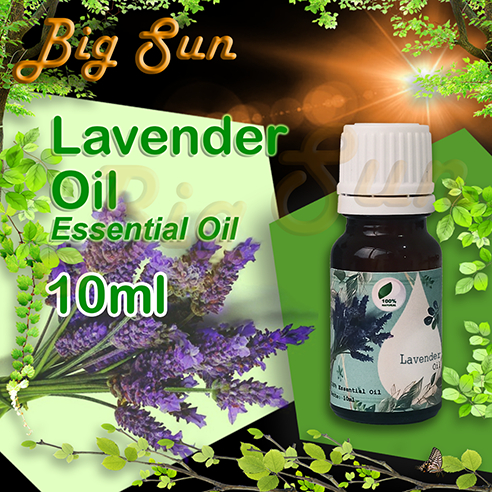 Lavender Essential Oil - Minyak Aromaterapi Lavender Pure Essential Oil 10 Ml / Essential Oil