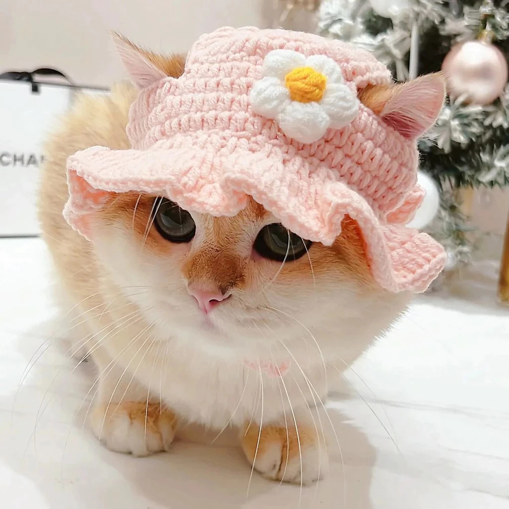 Topi Rajut  kucing / topi kucing / topi rajut hewan