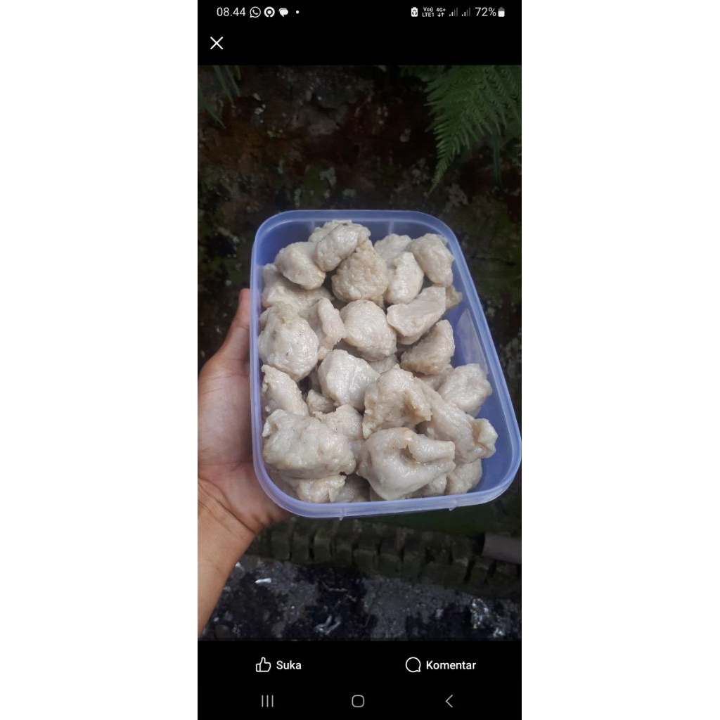 

mpuk mpuk ikan khas tegalsari